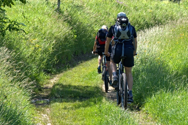  Excursión en el verde 